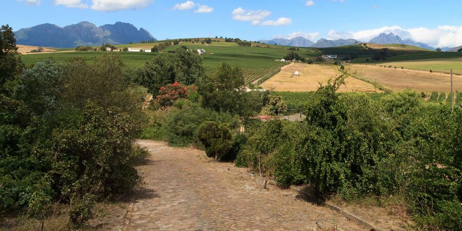 Stellenbosch North Guided Wine Safari (Tastings Excluded) - Stop 1: Stark Conde Wines, Postcard Cafe, and the koi fish dam