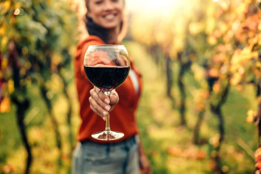 Stellenbosch North Guided Wine Safari (Tastings Excluded) - Who should book this Stellenbosch North Wine Safari