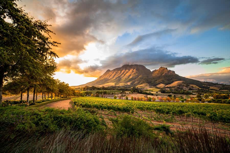 Stellenbosch North Guided Wine Safari (Tastings Included) - Starting in Stellenbosch: Setting the Tone Before You Taste