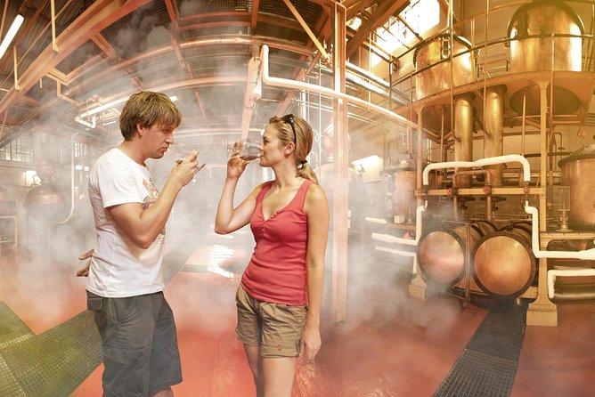 Stellenbosch, Paarl & Franschhoek Private Full Day Wine Tour - Franschhoek Food and Wine Capital, Huguenot Monument and Lunch Time