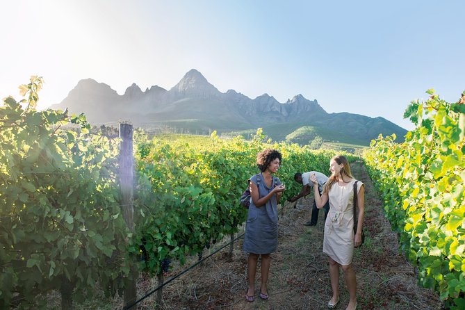 Stellenbosch, Paarl & Franschhoek Private Full Day Wine Tour - Price and Value: What This Tour Gives You for $131