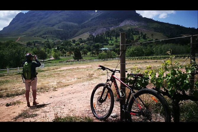 Stellenbosch Private E-Bike & Wine Tour - Stop 2 at Thelema Mountain Vineyards: mountains, vineyards, and the second tasting