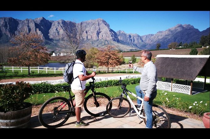 Stellenbosch Private E-Bike & Wine Tour - The wine guide experience: why the storytelling changes the day