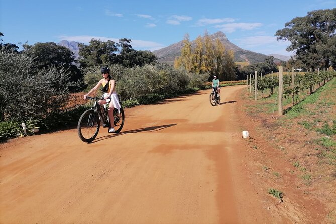 Stellenbosch Private E-Bike & Wine Tour - Value check: what $103.89 buys you in real time