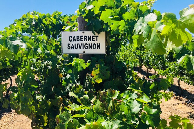 Stellenbosch Small Group Wine Tasting Tour From Cape Town - Fairview Wine and Cheese: a working farm pairing you’ll remember