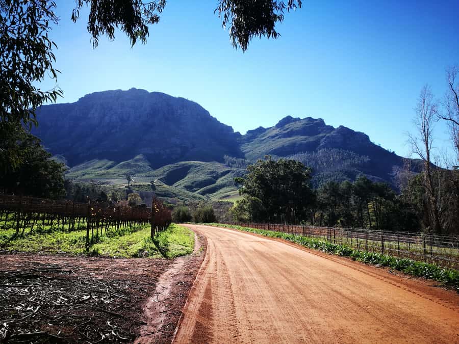 Stellenbosch: Stellenbosch E-Bike & Wine Tour (Shared Tour) - Pedal Power in the Banghoek Valley (10-12 km that feels scenic, not stressful)
