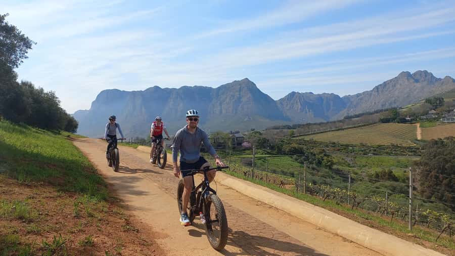 Stellenbosch: Stellenbosch E-Bike & Wine Tour (Shared Tour) - Two wineries, one day: what the stops usually feel like