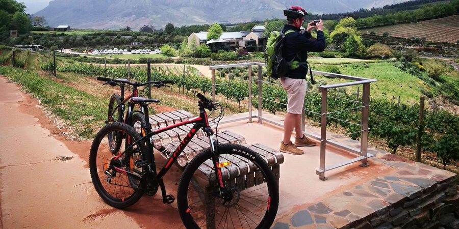 Stellenbosch: Stellenbosch E-Bike & Wine Tour (Shared Tour) - Guide energy is the real upgrade (Prince and Tim set the tone)