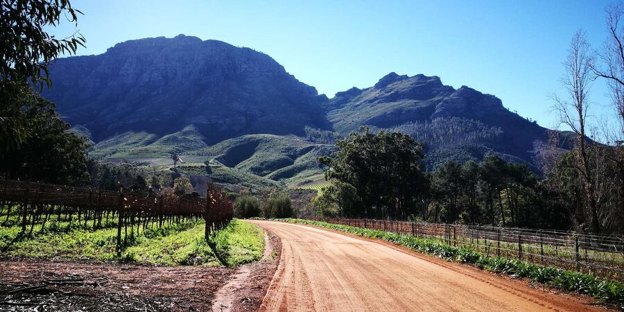 Stellenbosch: Stellenbosch E-Bike & Wine Tour (Shared Tour) - FAQ