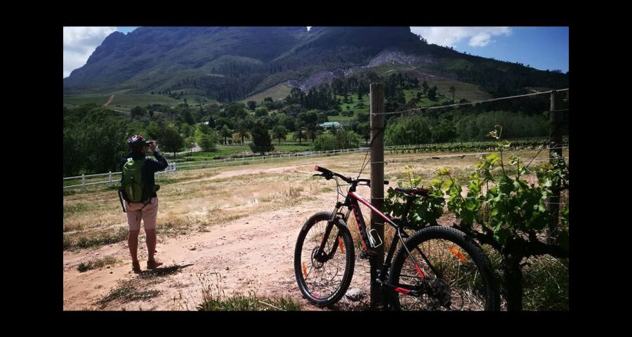 Stellenbosch: Stellenbosch Private E-Bike & Wine Tour - What to Do Before You Go (So Everything Feels Smooth)
