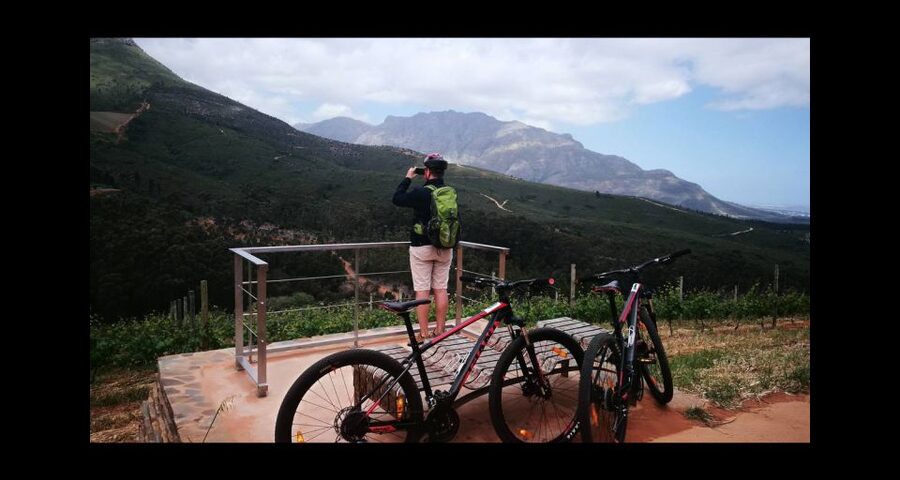Stellenbosch: Stellenbosch Private E-Bike & Wine Tour - Winery Stop Two: More Wine, More Context, Another Atmosphere