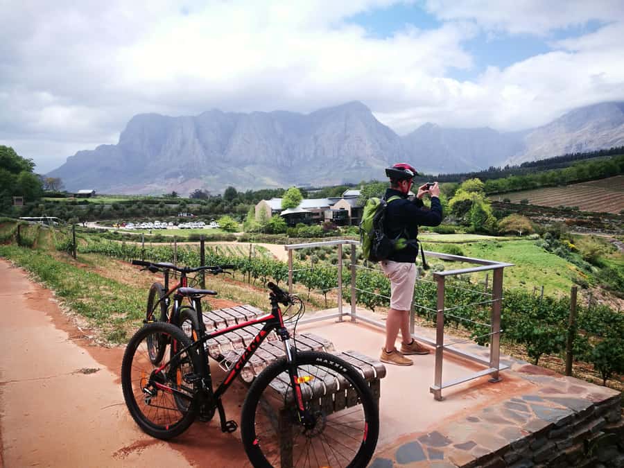 Stellenbosch: Stellenbosch Private E-Bike & Wine Tour - The Short Vineyard Sightseeing Break Adds a Photo Stop Feel
