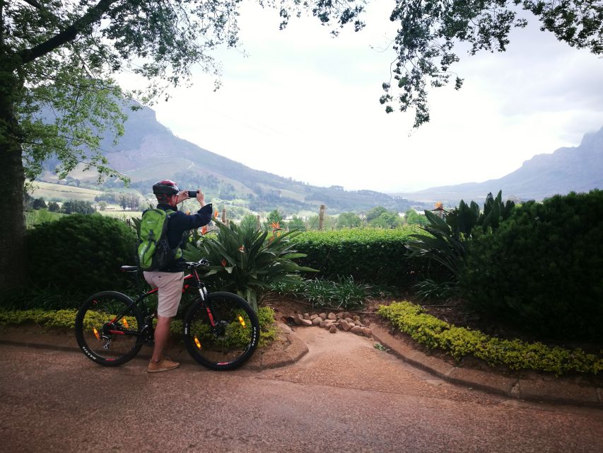 Stellenbosch: Stellenbosch Private E-Bike & Wine Tour - Price and Value: Does $186 Feel Fair?