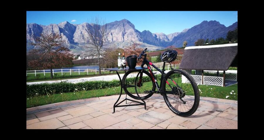 Stellenbosch: Stellenbosch Private E-Bike & Wine Tour - Who Should Book This Stellenbosch E-Bike Wine Tour