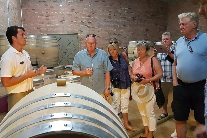 Stellenbosch Valley. Private wine tour with winemaker in Swedish or English. - Stellenbosch, Paarl and Franschhoek in one smooth day