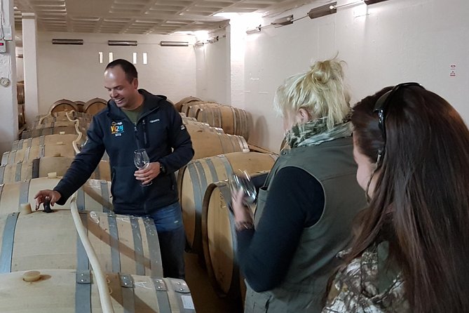 Stellenbosch Valley. Private wine tour with winemaker in Swedish or English. - Value check: is $225.68 worth it for a private wine day?