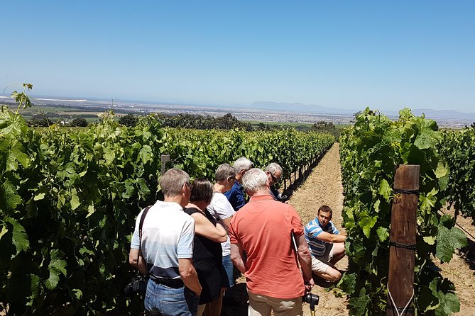 Stellenbosch Valley. Private wine tour with winemaker in Swedish or English. - The 7-hour flow: pickup, scenic drive, and 20 to 30 wine tastes