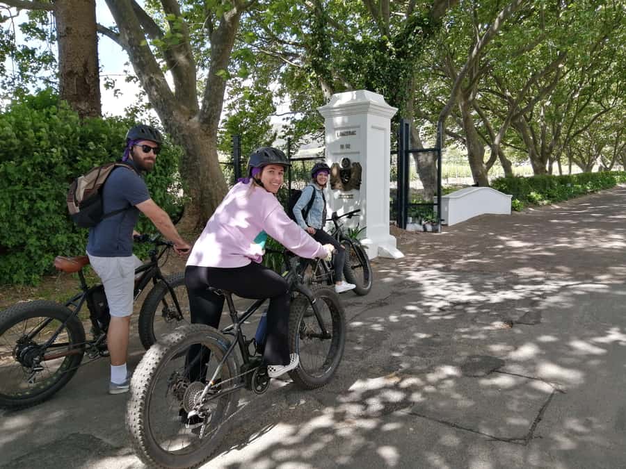 Stellenbosch: Wine Farm E-Bike Guided Tour - Key points that make this tour work