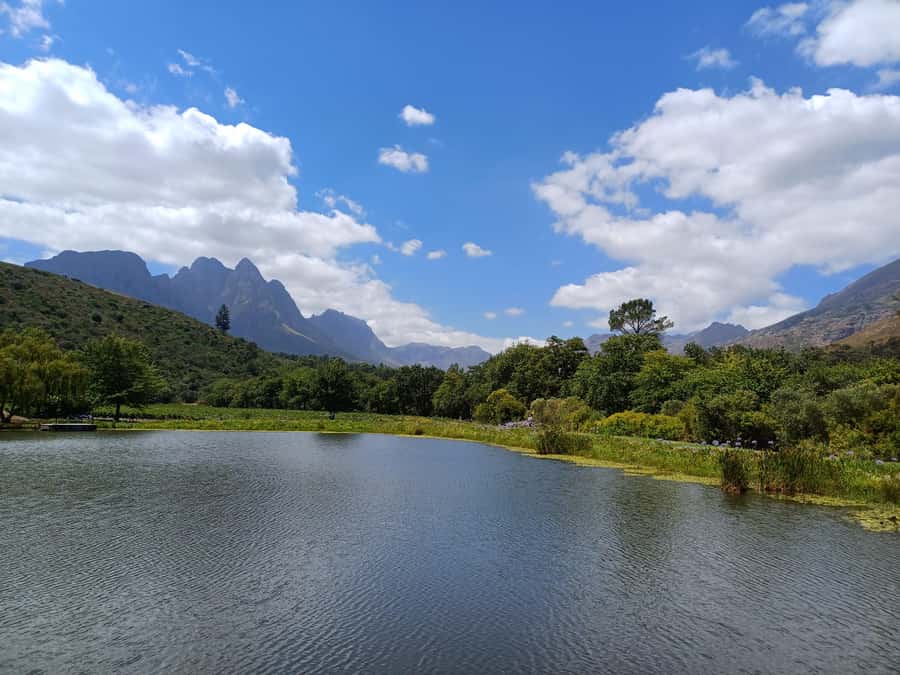 Stellenbosch wine tour, all inclusive of lunch and tastings. - Meeting in Stellenbosch and riding comfortably