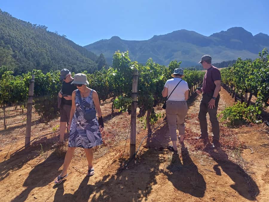Stellenbosch wine tour, all inclusive of lunch and tastings. - How the full-day schedule works: 4 wineries plus a lunch reset