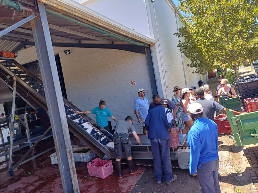 Stellenbosch wine tour, all inclusive of lunch and tastings. - Cellar tour included: what you should expect and why it helps