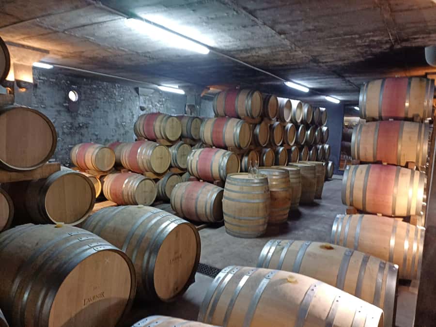 Stellenbosch wine tour, all inclusive of lunch and tastings. - Guides make or break the day, and this one is strong