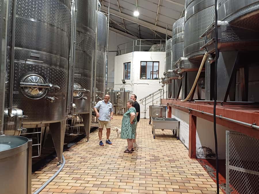 Stellenbosch wine tour, all inclusive of lunch and tastings. - Winery experiences that you might recognize along the route