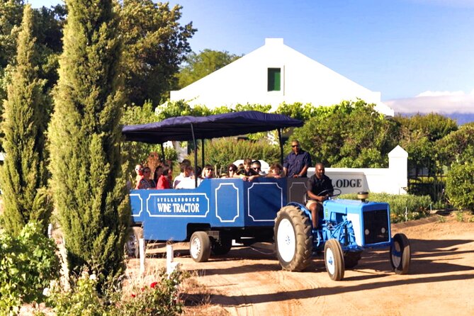 Stellenbosch Wine Tractor hop-on-hop off wine tasting tour - Timing and logistics: how the hop-on-hop-off plan actually works