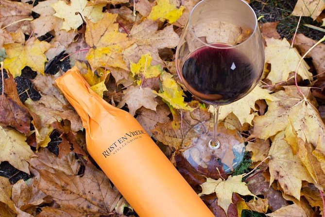 Stellenbosch Winelands Connoisseur Day Tour with Private Transfer - Key things to know before you go