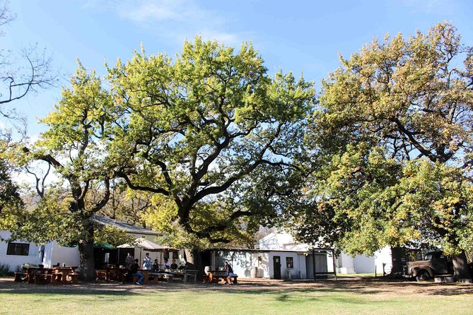 Stellenbosch Winelands Connoisseur Day Tour with Private Transfer - Stop 3: Haute Cabrière’s underground tasting theatre and Pinot Noir focus