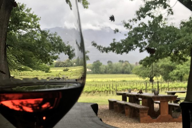 Stellenbosch Winelands Connoisseur Day Tour with Private Transfer - Stop 4: Rust en Vrede, bold reds since centuries ago, and a Mandela link