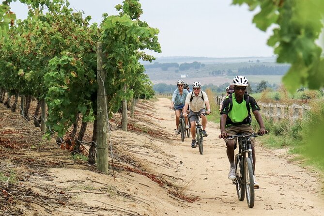 Stellenbosch Winelands Luxury EBike Tour © - Key highlights to look for
