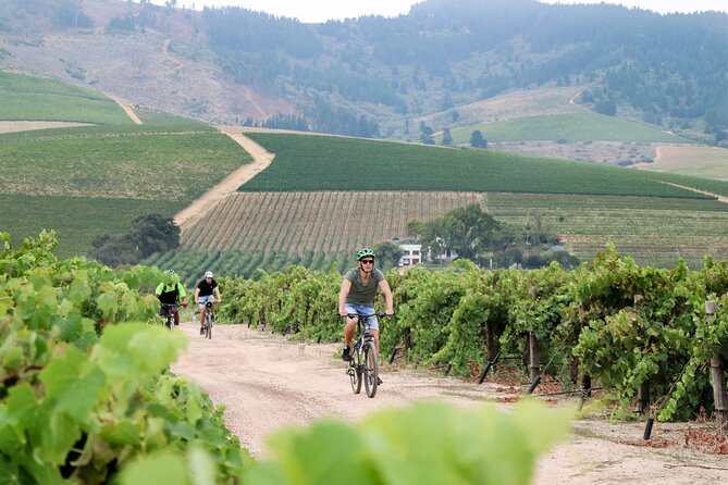 Stellenbosch Winelands Luxury EBike Tour © - The tasting pace: up to 20 wines, snack pack, and a cellar tour