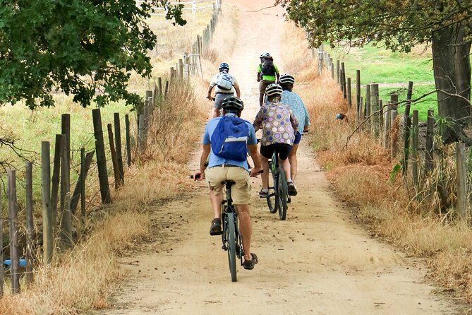 Stellenbosch Winelands Luxury EBike Tour © - E-bikes, helmets, and how hard the ride actually feels