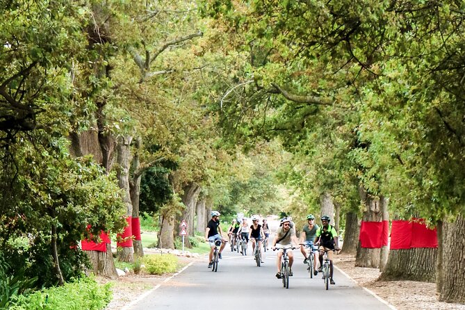 Stellenbosch Winelands Luxury EBike Tour © - Price and value: what you pay for, and what costs extra