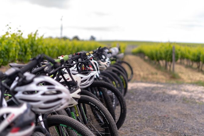 Stellenbosch Winelands Luxury EBike Tour © - Weather, timing, and small-group comfort