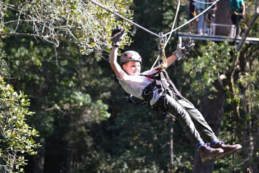 Storms River: Tsitsikamma National Park Zipline Canopy Tour - Key things to know before you go