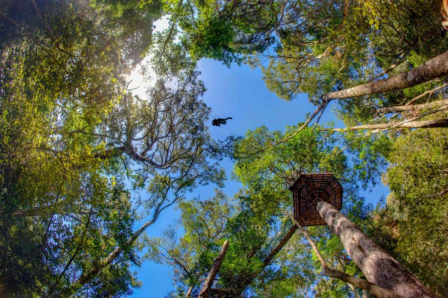 Storms River: Tsitsikamma National Park Zipline Canopy Tour - Why this Tsitsikamma canopy zipline feels different than a typical thrill ride