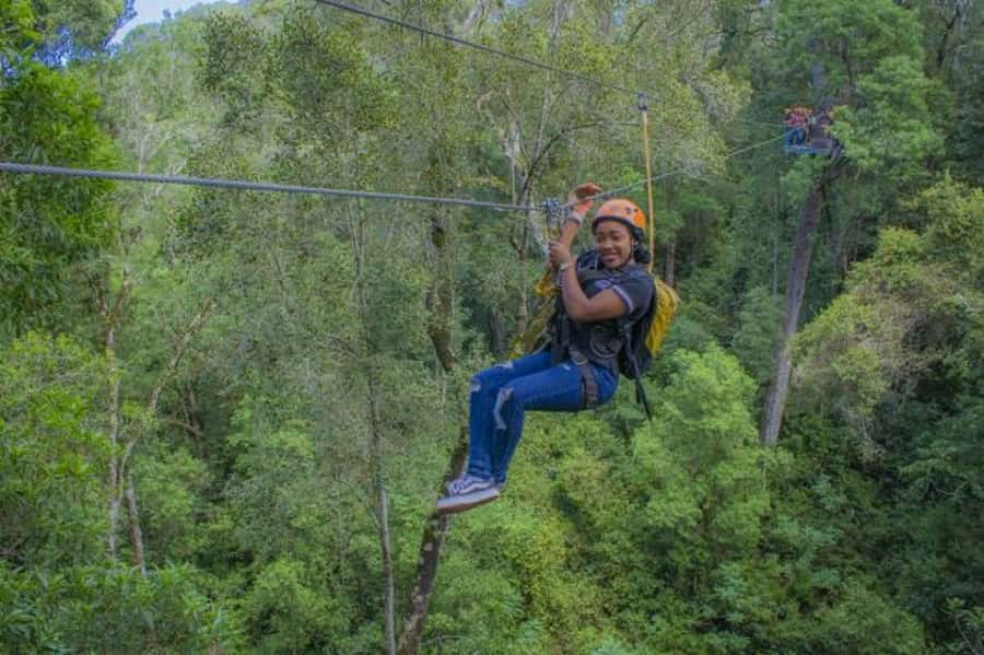 Storms River: Tsitsikamma National Park Zipline Canopy Tour - The forest lessons: birdlife, flora, and why the guide talk matters