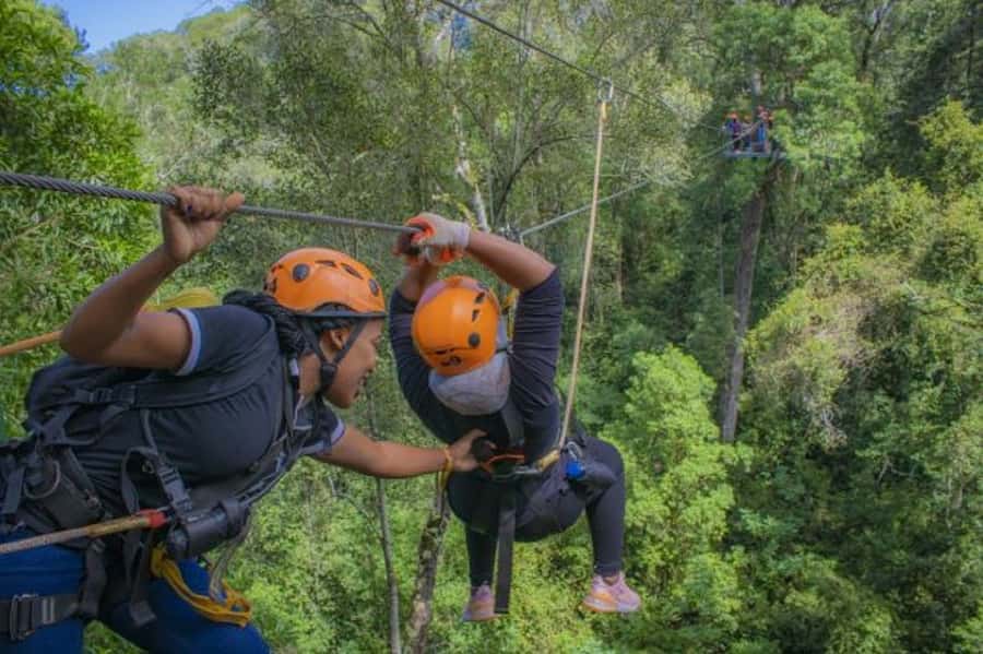 Storms River: Tsitsikamma National Park Zipline Canopy Tour - Price and value: what $55 gets you and why it is not just adrenaline