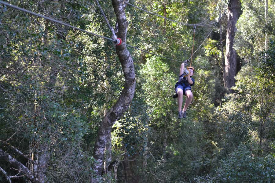 Storms River: Tsitsikamma National Park Zipline Canopy Tour - Who should book (and who should skip)