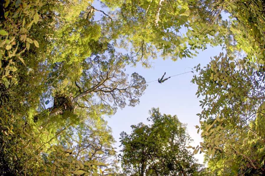 Storms River: Tsitsikamma National Park Zipline Canopy Tour - FAQ