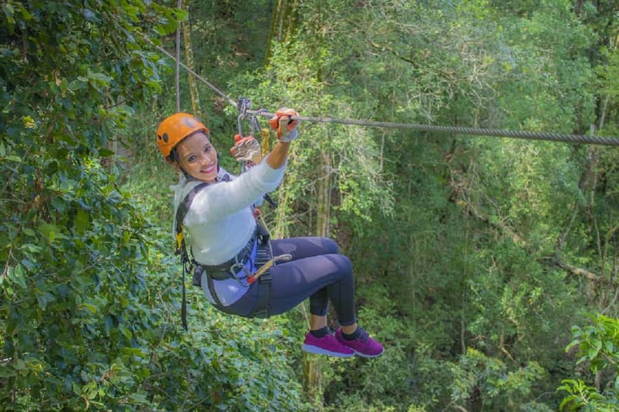 Storms River: Tsitsikamma National Park Zipline Canopy Tour - The set-up: helmets, harness fit, and a safety system you can feel