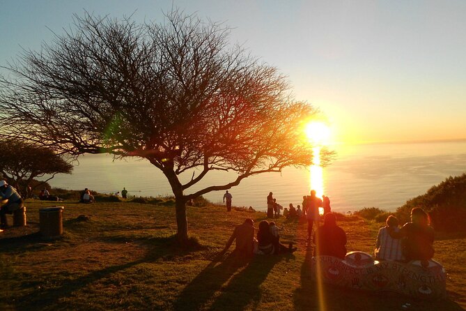 Summer Sunset Bus Tour in Cape Town - Key highlights worth planning for