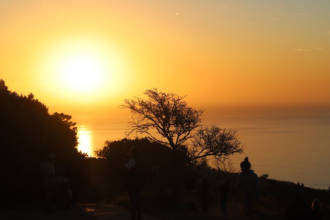 Summer Sunset Bus Tour in Cape Town - Sea Point Beachfront: the ride that sets the mood