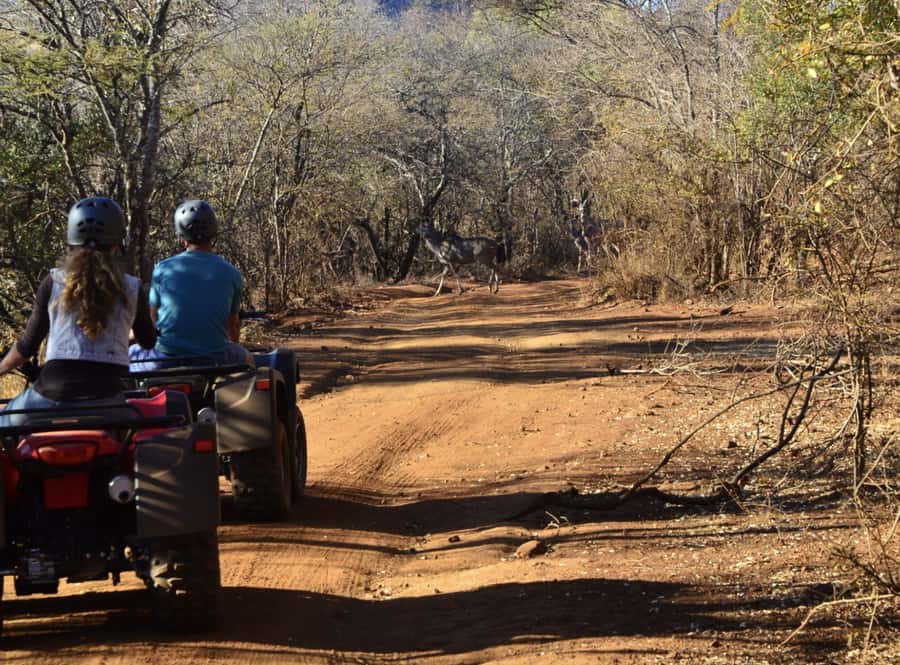 Sun City: Letsatsing Game Park Nature Trail Quad Bike Tour - Key Highlights You’ll Care About
