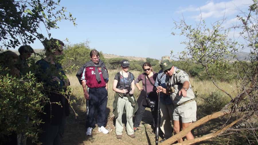 Sun City: Pilanesberg National Park Bush Walk - What happens during the bush walk on foot