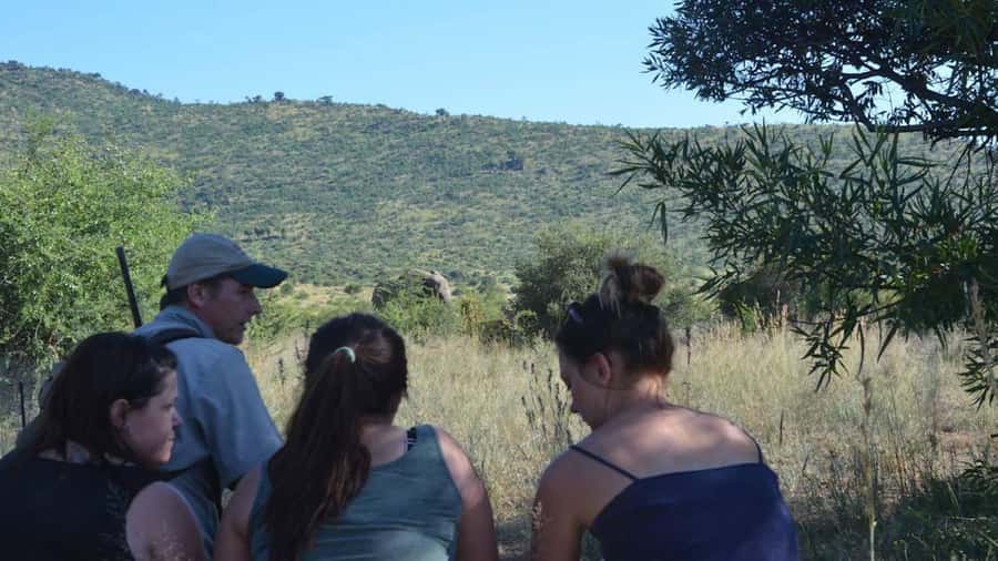 Sun City: Pilanesberg National Park Bush Walk - What to bring: the simple kit that keeps the walk comfortable