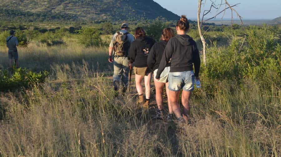 Sun City: Pilanesberg National Park Bush Walk - Sun City area, early start, and what 4 hours really means