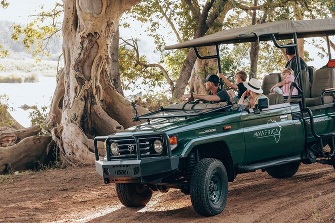 Sunrise Game Drive in Big5 Reserve - Key Highlights at a Glance